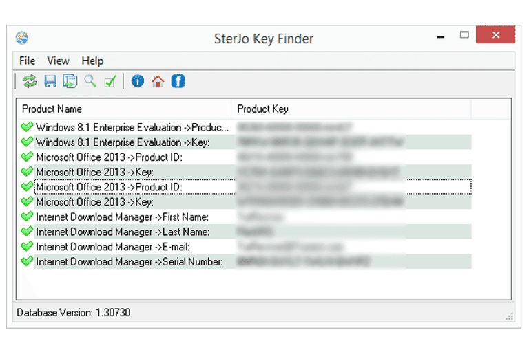 Screenshot of SterJo Key Finder in Windows 8
