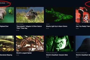 Screenshot of Nat Geo website