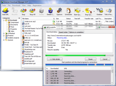 Screenshot of the Internet Download Manager (IDM) program in Windows