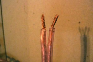 A stripped pair of speaker wires