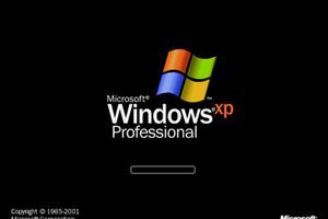 Screenshot of the Windows XP Splash Screen