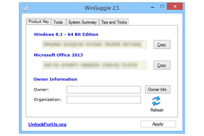 Screenshot of WinGuggle v2.5 in Windows 8
