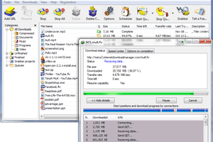 Screenshot of the Internet Download Manager (IDM) program in Windows