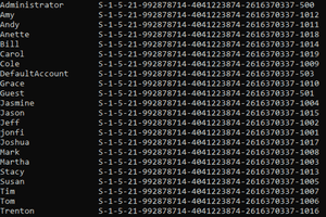 Screenshot of usernames and SIDs in Windows 10 Command Prompt