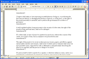 Screenshot of a document in Microsoft Word 2002