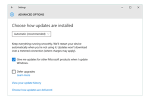Screenshot of the Advanced Windows Update screen in Windows 10