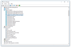 Screenshot of a Black Arrow in Windows 10 Device Manager