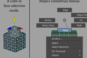 Maya's Contextual Menus and Selection Modes