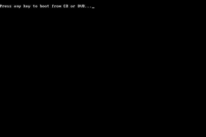 Screenshot of the Press any key to boot from CD or DVD message while booting to a disc