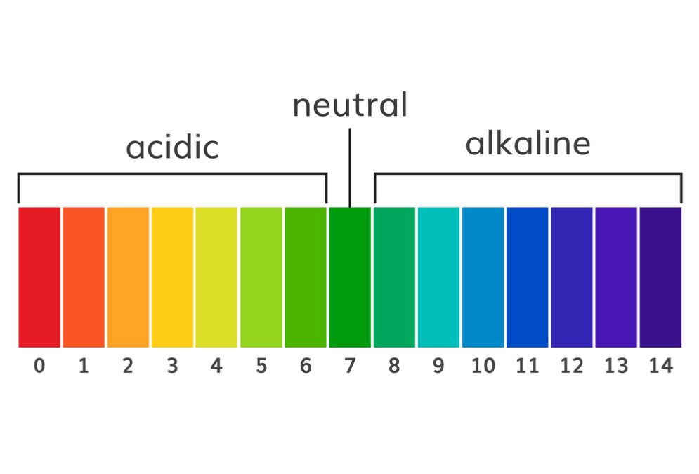 The Role of pH Level in Cleaning